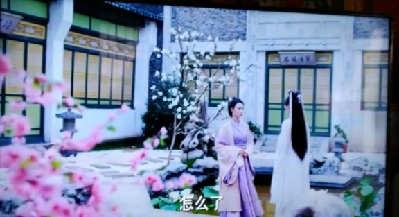 整点视频免费追剧