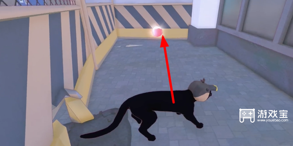 小猫咪大城市蜜柑帽怎么获得