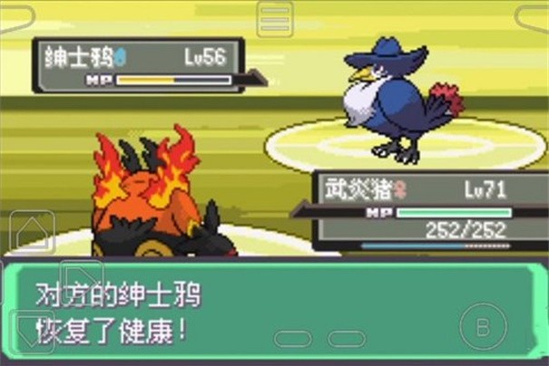 口袋妖怪漆黑的魅影5.0EX+BW截图1