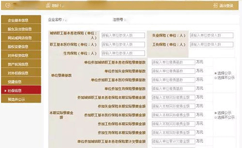 国家企业信用信息公示系统