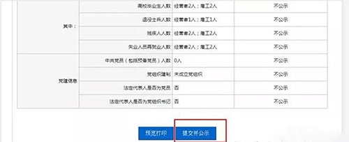国家企业信用信息公示系统