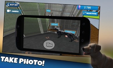 狗和猫收容所模拟器3D截图3