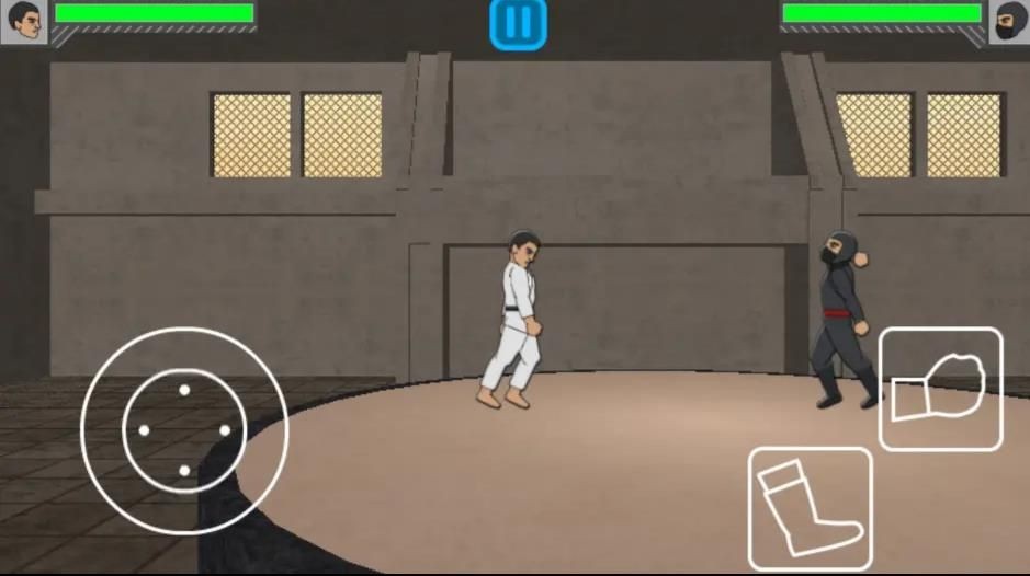 物理格斗战士截图4