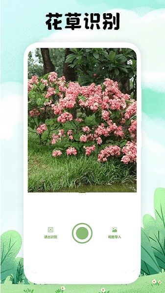 万物识图大师截图2