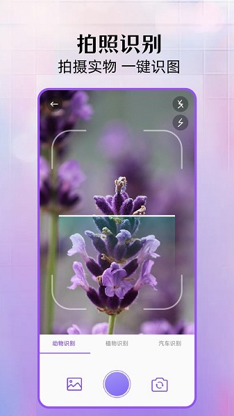 拍照识别植物截图2