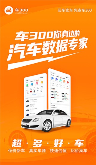 车300估价截图1