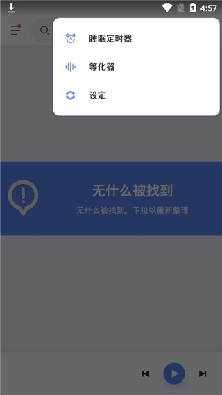 蜥蜴音乐播放器高级版截图2
