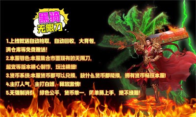 黑骑无限刀截图4