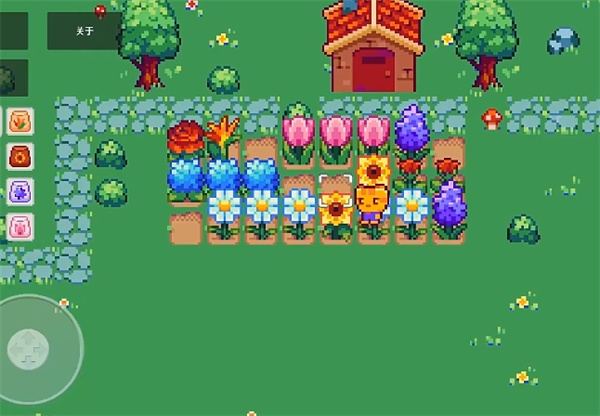 小小奇迹花园