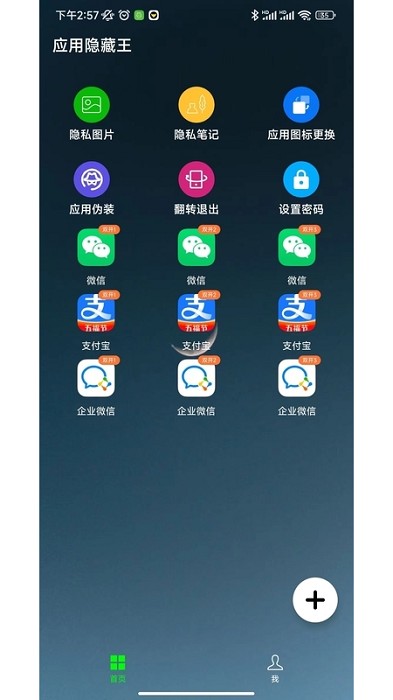 应用隐藏王截图1