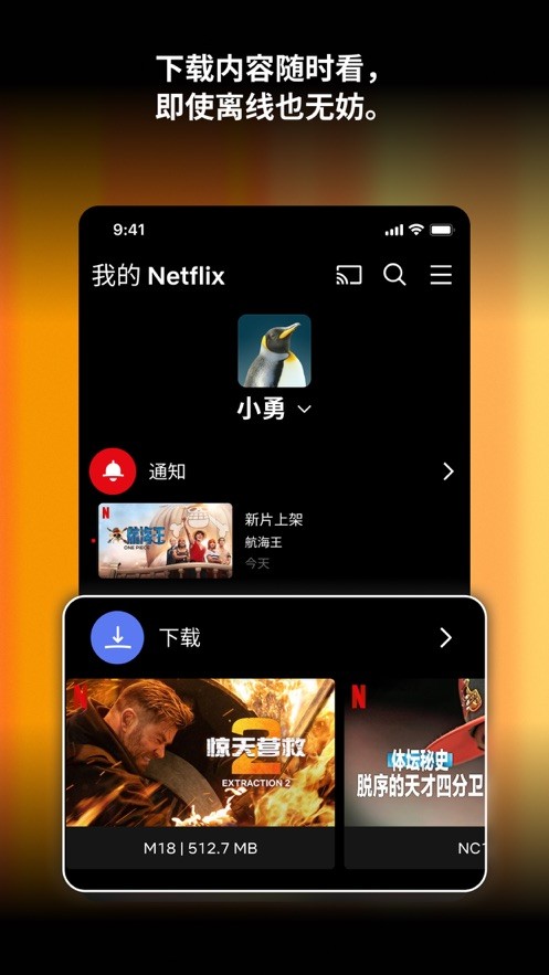 奈飞app截图2