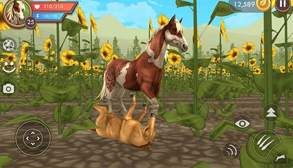 3D动物模拟器截图3