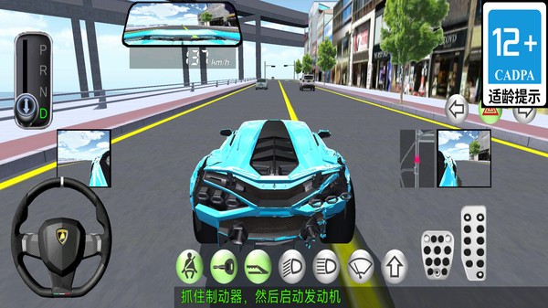 模拟驾驶精英截图3