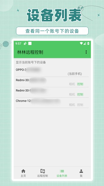 林林远程控制截图5