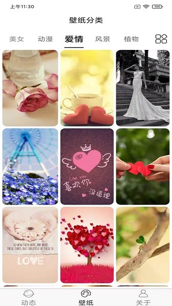 飞花动态壁纸截图3