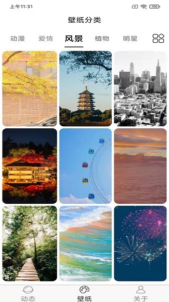 飞花动态壁纸截图5