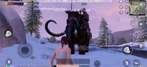 pubg国际服体验服截图4