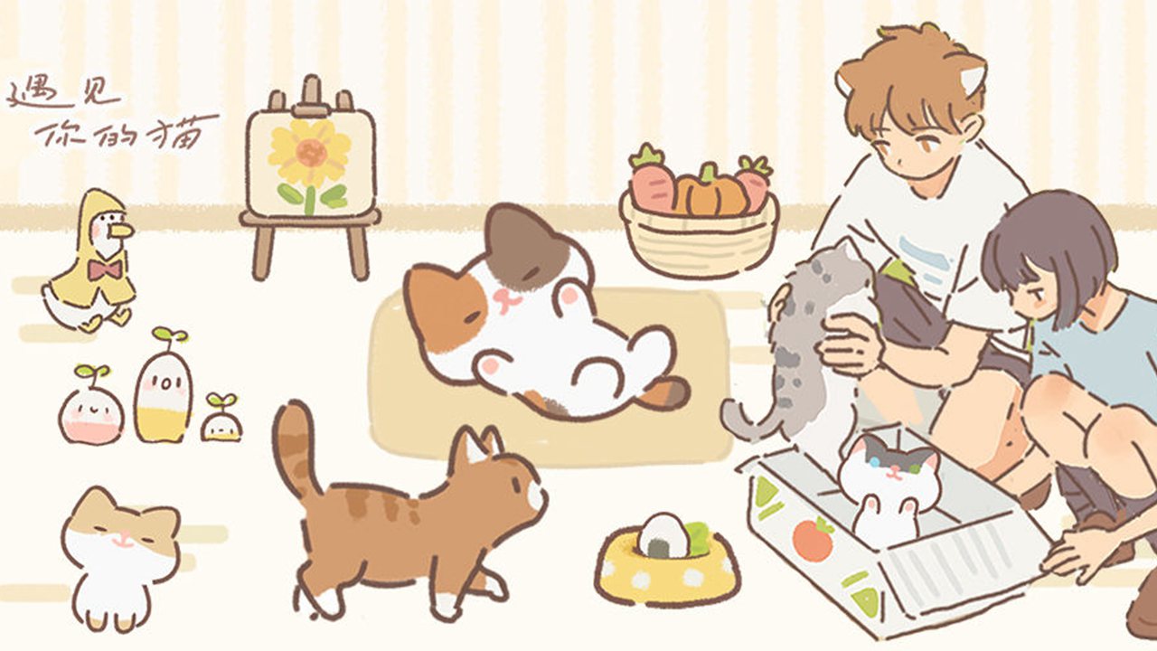 遇见你的猫官方