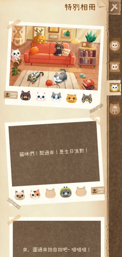 猫咪密林