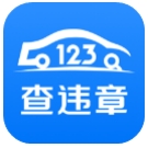 123查违章