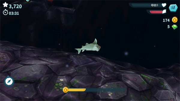 饥饿鲨进化国际版