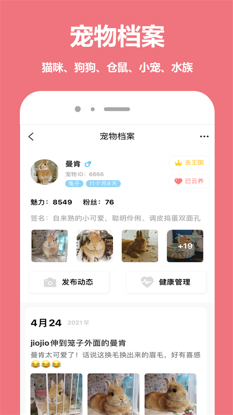 宠物王国截图4