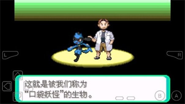 口袋妖怪冰之冒险截图2