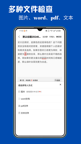 错别字检查截图3