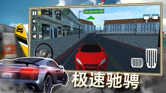 经典赛车模拟截图3