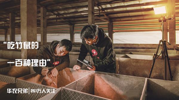 华数鲜时光