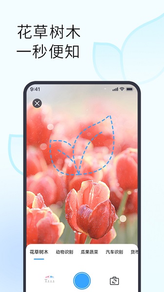 拍照识花识物