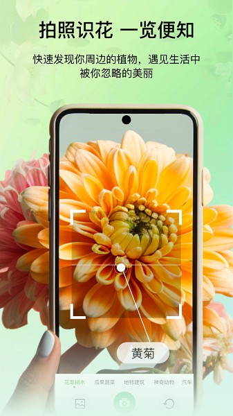 花卉识别图鉴截图1