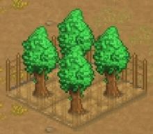 王都创世录最新版