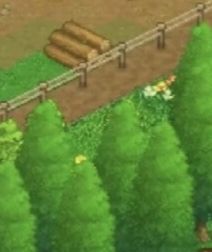 王都创世录最新版