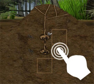 最后的蚂蚁中文版