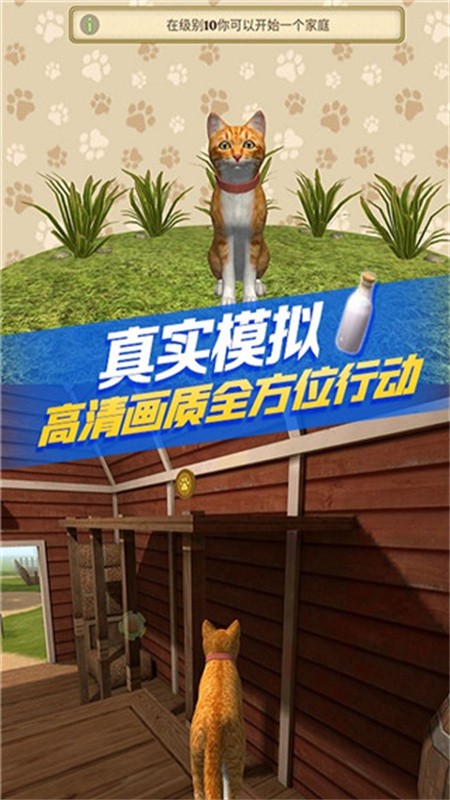 猫咪生存模拟器截图3