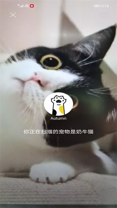 握爪宠物截图3