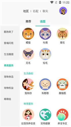 握爪宠物