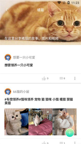 握爪宠物