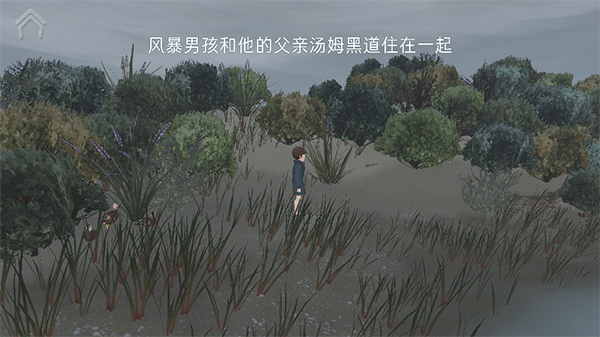男孩与鹈鹕截图4