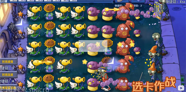 植物大战僵尸星座版