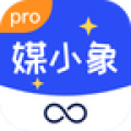 媒小象