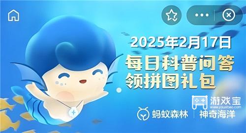 猜一猜害羞蟹指的是以下哪种螃蟹