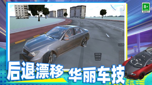 赛车手模拟器截图3