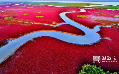 我国海岸线上的红海滩是红藻形成的海滩吗