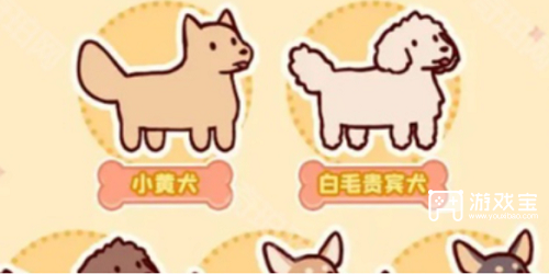 我的休闲时光怎么领养小狗