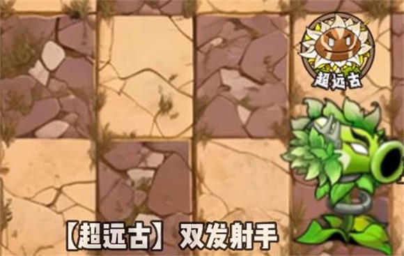 植物大战僵尸神奇植物在哪里