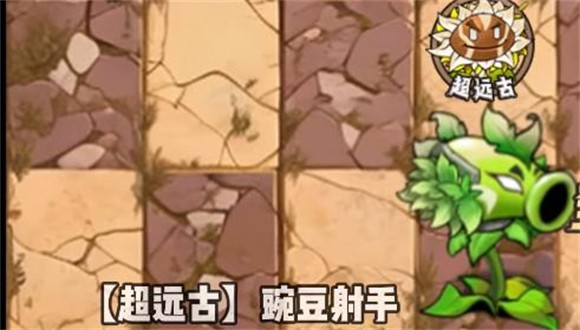 植物大战僵尸神奇植物在哪里
