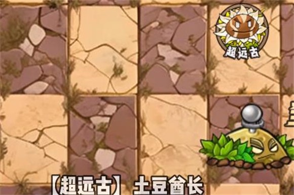 植物大战僵尸神奇植物在哪里