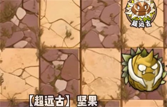 植物大战僵尸神奇植物在哪里